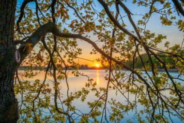 Bezdrev ve Cesnovicky CIP göleti arasındaki baraj. Baharın renkleriyle, günbatımında yeşil ağaçlarla.