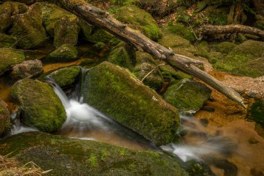 Jeleni Şelalesi ilkbaharda güneşli bulutlu bir günde taze renkli Jizerske dağlarında