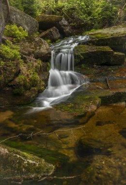 Jeleni Şelalesi ilkbaharda güneşli bulutlu bir günde taze renkli Jizerske dağlarında
