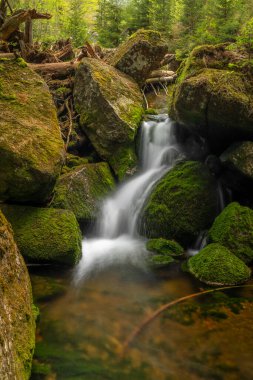 Jeleni Şelalesi ilkbaharda güneşli bulutlu bir günde taze renkli Jizerske dağlarında