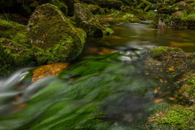 Baharda Kamenice Şelalesi fırtınadan önce Jizerske dağlarında güneşli bulutlu bir günde