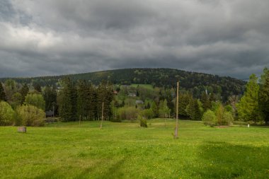 Taze Jizerske dağlarındaki Bedrichov köyünün yakınındaki yeşil çayır.
