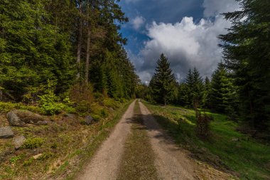 Güneşli bahar gününde Jizerske dağlarında yol
