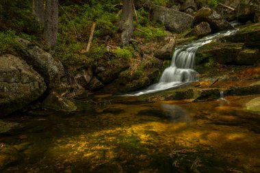 Jeleni Şelalesi ilkbaharda güneşli bulutlu bir günde taze renkli Jizerske dağlarında