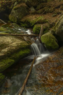 Jeleni Şelalesi ilkbaharda güneşli bulutlu bir günde taze renkli Jizerske dağlarında
