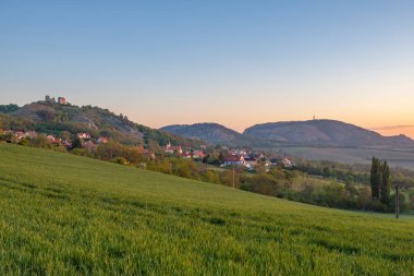 Güney Moravya 'daki Klentnice güzel köyünün yakınında renk bahar sabahı.