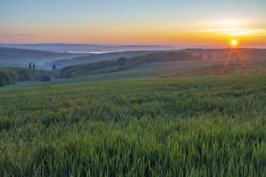 Güney Moravya 'daki Klentnice güzel köyünün yakınında renk bahar sabahı.