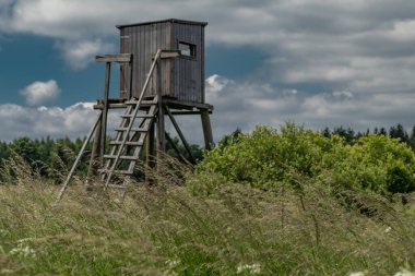 Krusne dağlarındaki yüksek yer ve çayırlar güneşli bir gün.