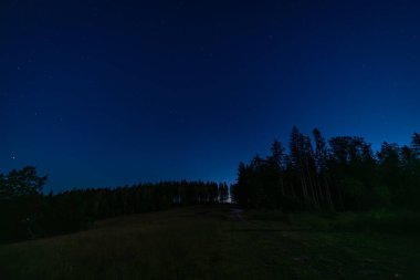 Güneş doğmadan önce Krusne dağlarında ağaçların silueti olan mavi, karanlık bir gece göğü.