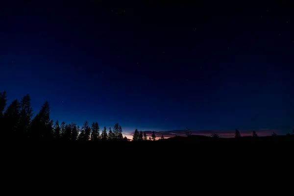 stock image Blue dark night sky with silhouette of trees in Krusne mountains before sunrise