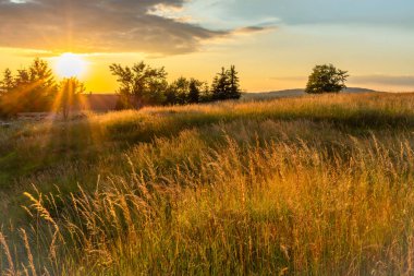 Krusne dağlarında gün batımı olan çayırlar Nova ves Horach köyünde renkli bir akşamda