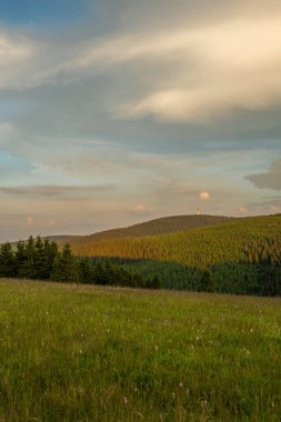 Almanya ile Çek Cumhuriyeti arasındaki sınıra yakın derin orman ve tepeler