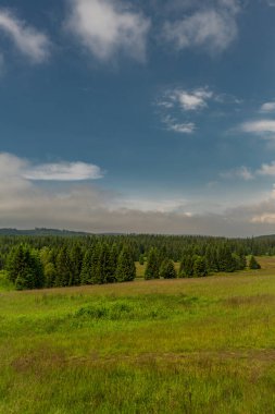 Medows ve yeşil çayır Bozi Dar kasabasının yakınındaki ormanın derinliklerinde.