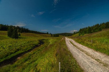 Turuncu yataklı Rolava nehri ve yeşil çayırlar arasında sıcak yaz sabahı kıyıda çimenler.