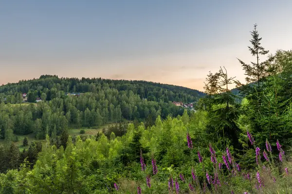 stock image Landscape near Tisova village and Kraslice town before color sunrise