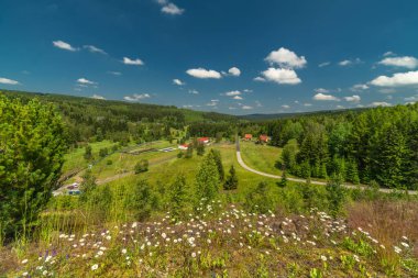 Prisecnice CZ 06 2024 'teki Krusne Dağları' ndaki baraj barajında çiçek açan yaz çayırı.