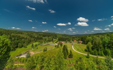Prisecnice CZ 06 2024 'teki Krusne Dağları' ndaki baraj barajında çiçek açan yaz çayırı.