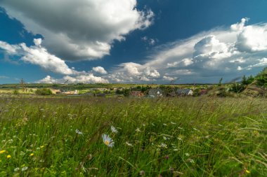 Summer meadow near border Czech and Germany near mountain town Bozi Dar CZ 06 26 2024 clipart