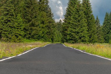 Long mountain asphalt road between green forests near Bozi Dar town clipart