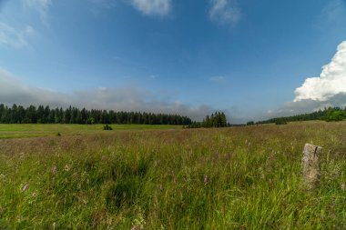 Bozi Dar kasabası yakınlarındaki yeşil yaz dağlarında çayır arazi ve asfalt yeni bisiklet yolu