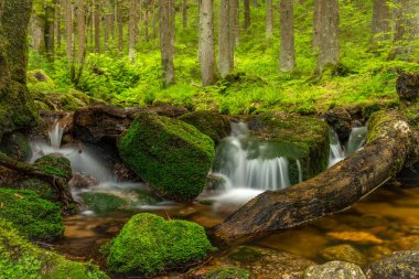 Krusne dağlarındaki Stribrny deresi Sıcak yaz gününde
