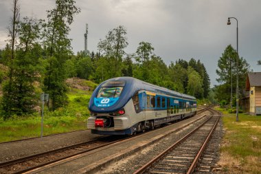 Yaz günü Krusne Hory 'daki tren istasyonu Potucky CZ 06 27 2024