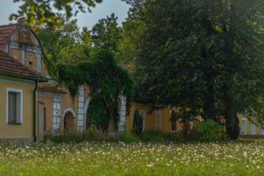 Old village square with color houses in summer day in Opatovice CZ 08 27 2024 clipart