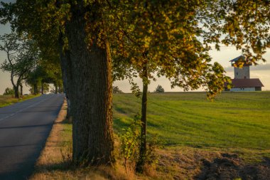 Alley with leaf trees and dry summer meadow near Roprachtice CZ 09 07 2024 clipart