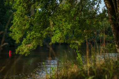 Vltava Nehri sıcak yaz mevsiminde Ceske Budejovice şehrinin yakınında