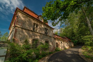 Ruin of old house in summer forest near slope road in Liberec CZ 08 31 2024 clipart