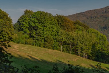 Green landscape with sunny light near Tolstejn village in summer color evening clipart