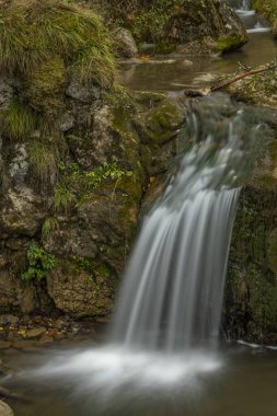Sonbahar bulutlu bir günde Biala Woda Deresi yakınlarındaki Jaworki köyünde küçük bir şelale.
