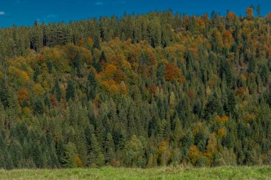 Güzel sonbahar çayırları ve Jaworki köyü yakınlarındaki dağ kulübelerinin yanındaki sisli vadiler.