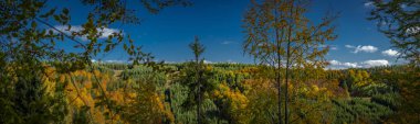 Nice autumn meadows and forests in sunny color fresh day near Jaworki village clipart