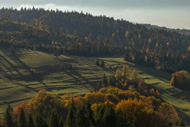 Nice autumn meadows and forests in sunny color fresh day near Jaworki village clipart