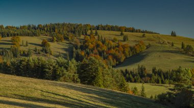Sonbahar mevsiminde Jaworki Polonya yakınlarındaki derin dağ vadisine bakın.