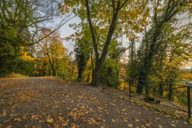 Sonbahar akşamı Opocno şehrinde Zlaty deresi ve şelalesi yakınında büyük ağaçlar olan Castle Park