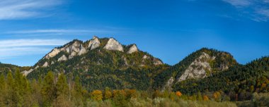 Polonya 'daki Pieniny dağlarında üç kron tepe. Kayalarla kaplı yeşil ormanlar.