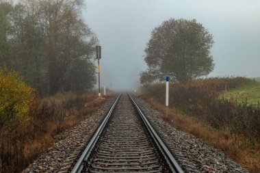 Sonbahar sisli ve soğuk sabahında tren rayları.