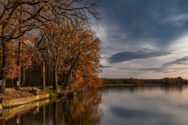 Vysatov pond with sunset color light in autumn sunny evening in south Bohemia clipart