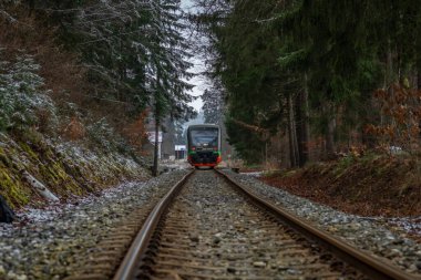 Lcovice durağı CZ 12 2024 yakınlarındaki kış ormanlarında özel renkli yolcu treni.