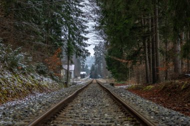 Lcovice dağ köyü yakınlarındaki kış ormanlarında tren yolu.