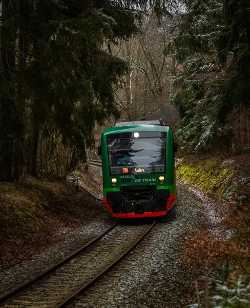 Lcovice durağı CZ 12 2024 yakınlarındaki kış ormanlarında özel renkli yolcu treni.