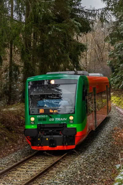 Lcovice durağı CZ 12 2024 yakınlarındaki kış ormanlarında özel renkli yolcu treni.