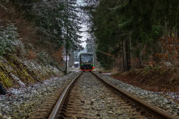 Lcovice durağı CZ 12 2024 yakınlarındaki kış ormanlarında özel renkli yolcu treni.