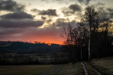 Red sunrise with windfall forest in winter morning near Batelov township clipart