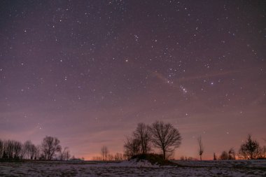 Karanlık gökyüzündeki yıldızlar için gece görüşü ve Roprachtice köyü yakınlarındaki ağaçların silueti.