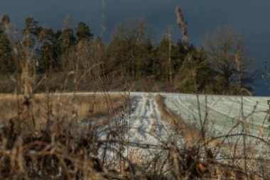 Nepomuk Bohemya kasabası yakınlarında, turuncu güneşli ve kışın karlı manzaralı gün doğumu