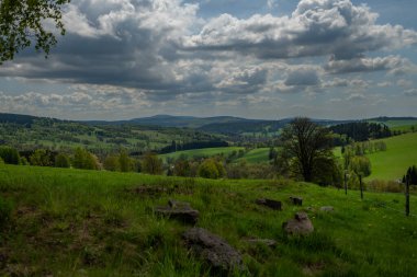 Orlicke dağlarının yeşil taze ormanları ve çayırlarıyla renklendirilmiş bahar manzarası