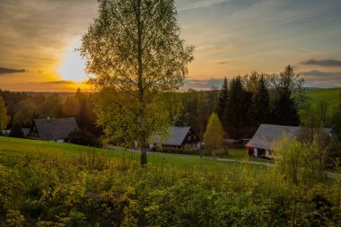 Cihak CZ 04 30 2025 yakınlarında güneşli bir akşamda yeşil taze ormanlar ve çayırlar ile Orlicke dağlarında renk ilkbahar manzarası